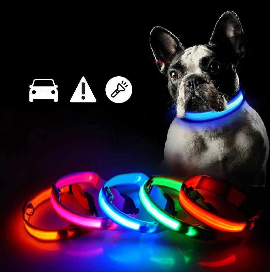 Coleira LED para Cães e Gatos "PetsLight" - Carregador USB